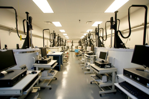 Cord blood units are stored in Liquid Nitrogen at NCBP’s Facility